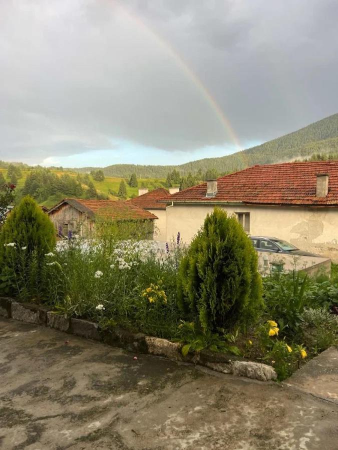 Къща За Гости "Домът На Краси" Yagodina Dış mekan fotoğraf